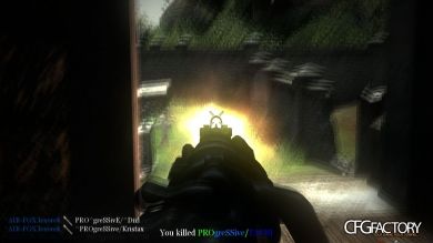 zipy's First CoD2 MCFG