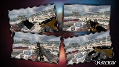 MW2 Gold/Black ACR