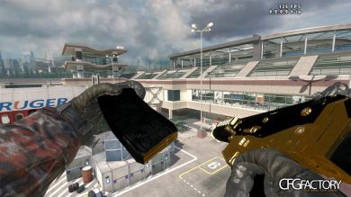 MW2 Gold/Black ACR
