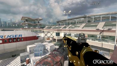 MW2 Gold/Black ACR