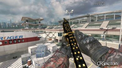 MW2 Gold/Black ACR