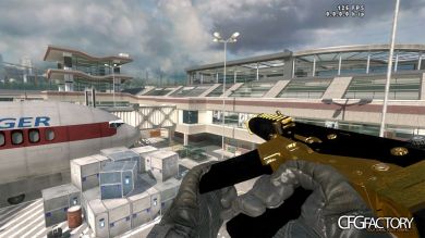 MW2 Gold/Black ACR