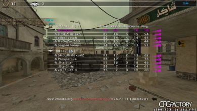 Reapy CFG