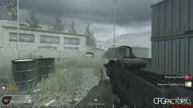 MW2 Tar-21