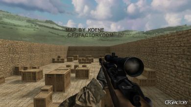 WAW Weapons