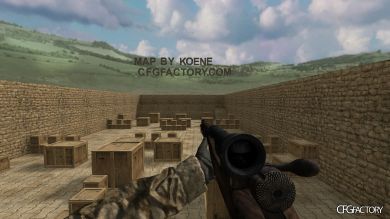 WAW Weapons