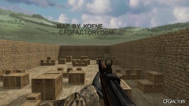 WAW Weapons