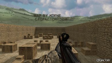 WAW Weapons