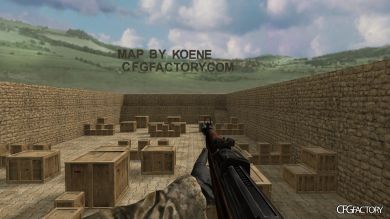 WAW Weapons