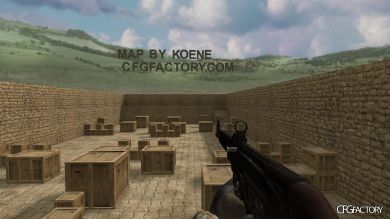 WAW Weapons