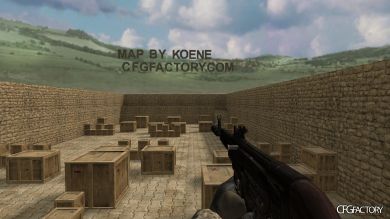 WAW Weapons