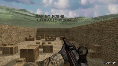WAW Weapons