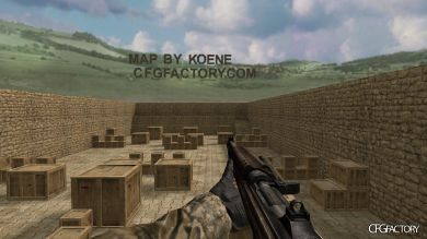 WAW Weapons