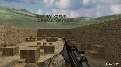 WAW Weapons