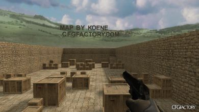 WAW Weapons