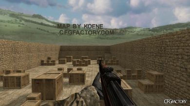 WAW Weapons
