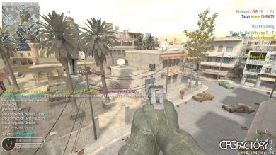 swybe's CFG