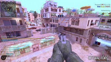 swybe's CFG