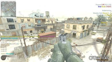 swybe's CFG