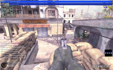 ecko 2k11 CFG