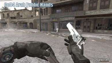 MW2 Public Hands