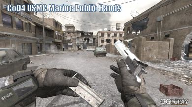 MW2 Public Hands