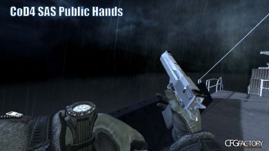 MW2 Public Hands