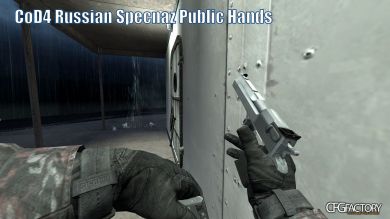 MW2 Public Hands