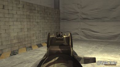 WeapCamoPac