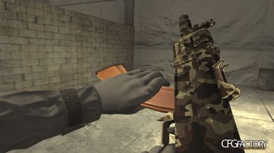 WeapCamoPac