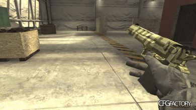 WeapCamoPac