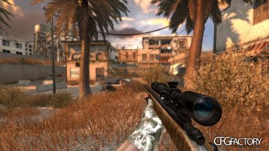 Sunset CFG