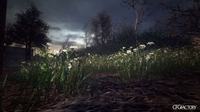 Flower Grass