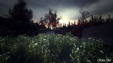 Flower Grass