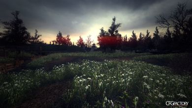 Flower Grass