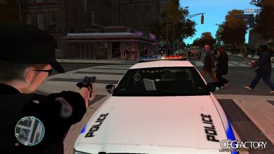 2007 Ford Crown Victoria [ELS]