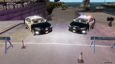 2010 Ford Taurus Sheriff