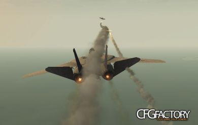 F-14D Supertomcat with variable wings and retracta