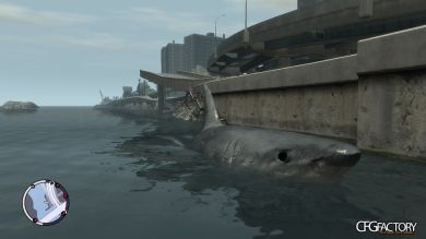 Megalodon