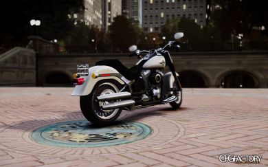 2010 Harley Davidson Fatboy Lo