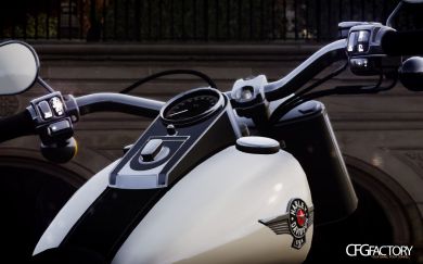 2010 Harley Davidson Fatboy Lo