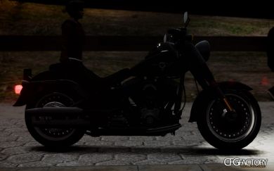 2010 Harley Davidson Fatboy Lo