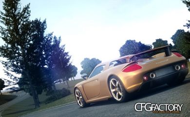Porsche Carrera GT V1.1 [EPM]