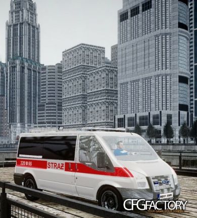 Ford Transit Police