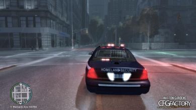Homeland Security Ford Crown Victoria
