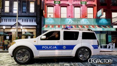 Nissan Pathfinder Polish Skins  Pack