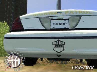 CHP Skin (Fictional)