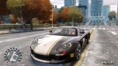 Porsche Carrera GT  + Vinyls