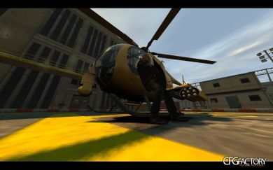 GOLD BUZZARD