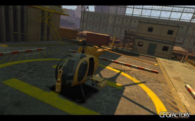 GOLD BUZZARD